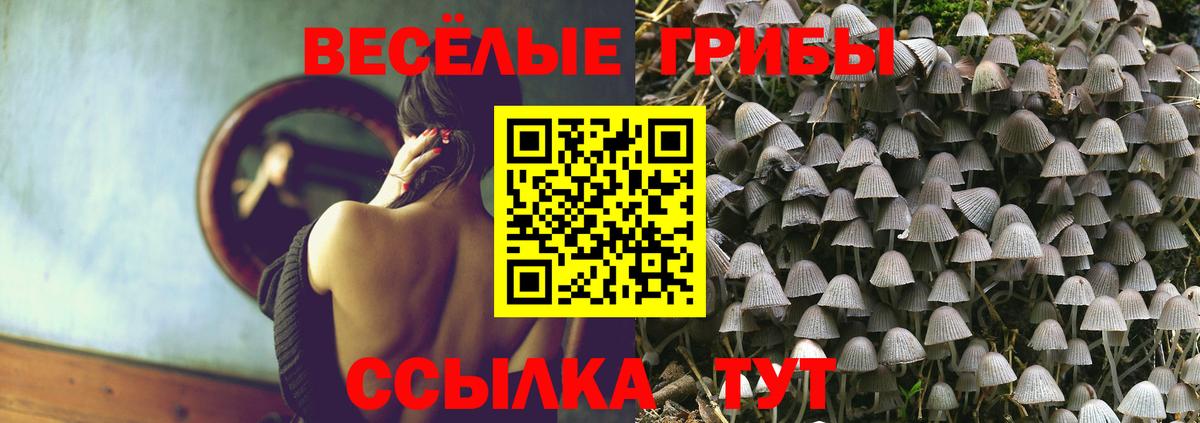 Галлюциногенные грибы MAGIC MUSHROOMS  Вход с VPN  Псилоцибиновые грибы MAGIC MUSHROOMS  купить   Верхний Уфалей 